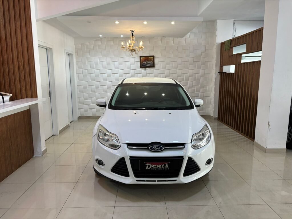 FOCUS SE 2015 (8)